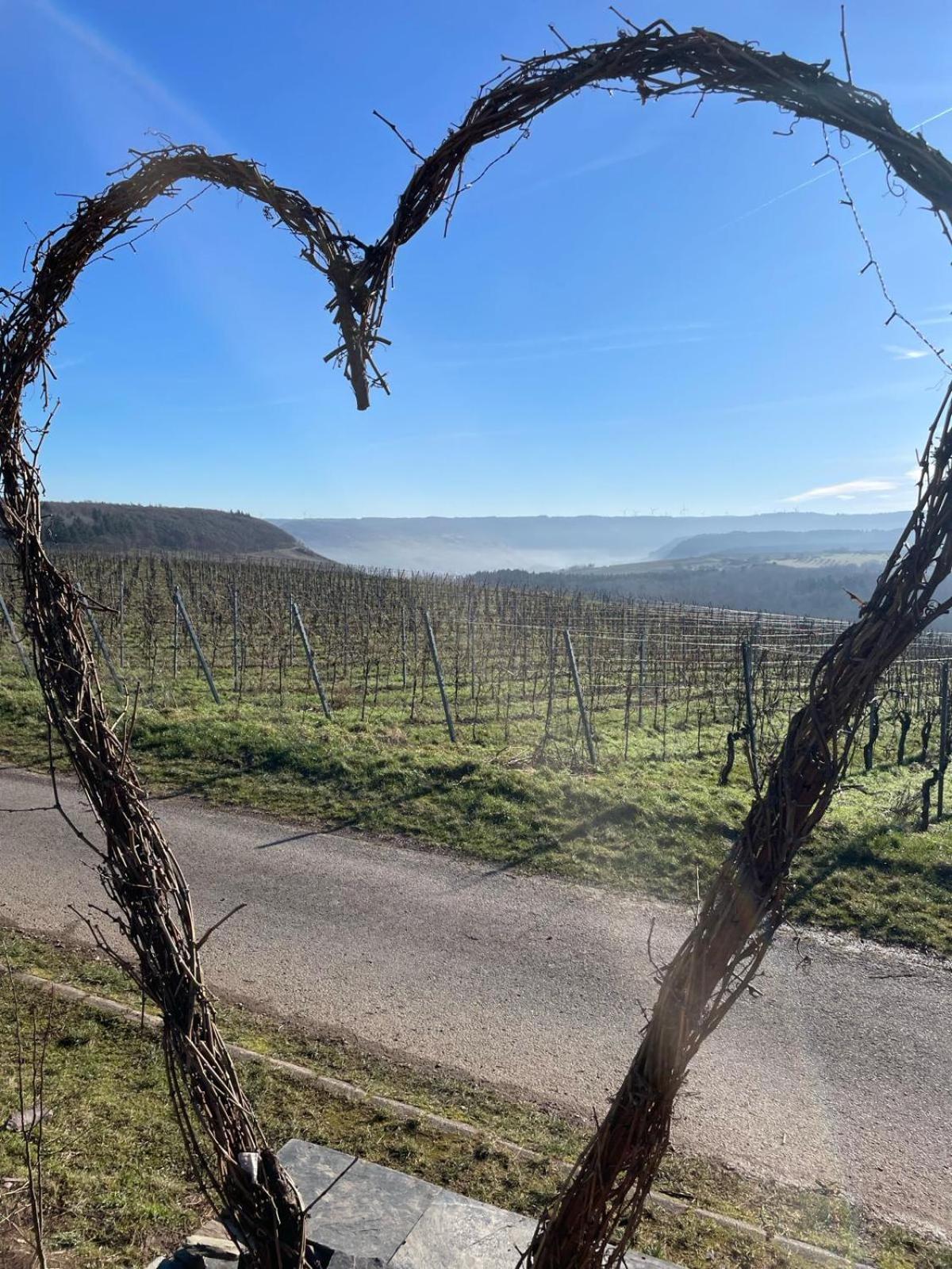 Fewo Waldblick - Urlaub Im Wein & Ferienort Bekond Eksteriør bilde